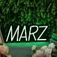 MARZ Green Neon Sign