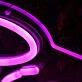 Big Kat Disco Purple Neon Sign