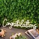 Congratulations Yellow Custom Neon Sign