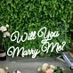 Will You Marry Me White Neon Sign