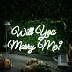 Will You Marry Me White Neon Sign