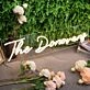 The Donovans Yellow Neon Sign