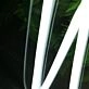 Worldlaw White Neon Sign