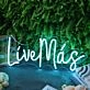 Live Mas Blue Neon Sign