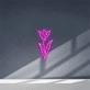 Neon Rose Signs