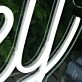 Delaney White Neon Sign