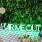 Hair Me Out Green Neon Sign