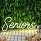 Seniors Yellow Neon Sign