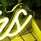 Seniors Yellow Neon Sign