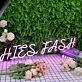 Hies Fash Purple Neon Sign
