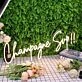Champagne Sup Yellow Neon Sign