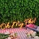 Oh My Pho Red Neon Sign