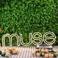 Muse Yellow Neon Sign