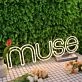 Muse Yellow Neon Sign