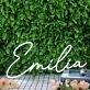 Emilia Name White Neon Sign