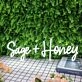 Sage Honey White Neon Sign