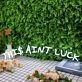 This Aint Luck White Neon Sign
