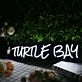 Turtle Bar White Neon Sign