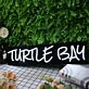 Turtle Bar White Neon Sign