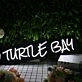 Turtle Bar White Neon Sign