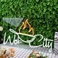 Wok City White Custom Neon Sign