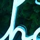 Charlotte Name Neon Sign