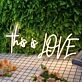 This Is Love Yellow Neon Sign