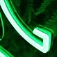 Green Door Neon Sign