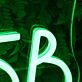 Green Door Neon Sign