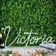 Victoria White Neon Sign