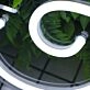 Tricoci White Neon Sign