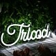 Tricoci White Neon Sign