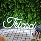 Tricoci White Neon Sign