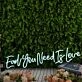 Earl You Need Is Love Blue Neon Sign