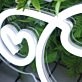 Cheers White Neon Sign