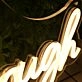Grow Through What You Go Through Yellow Neon Sign