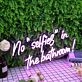 No Selfies In The Bathroom Purple Neon Sign