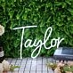Taylor White Neon Sign
