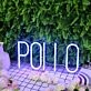 Pollo Blue Neon Sign