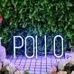 Pollo Blue Neon Sign