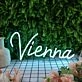 Vienna Blue Neon Sign