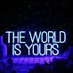 The World Is Yours Blue LED Neon Sign