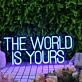 The World Is Yours Blue LED Neon Sign
