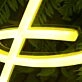 Prom Yellow Neon Sign