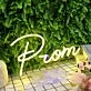 Prom Yellow Neon Sign