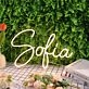Sofia Yellow Neon Sign