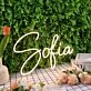 Sofia Yellow Neon Sign