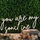 You Are My Sunshine Yellow Neon Sign