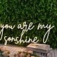 You Are My Sunshine Yellow Neon Sign