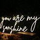 You Are My Sunshine Yellow Neon Sign